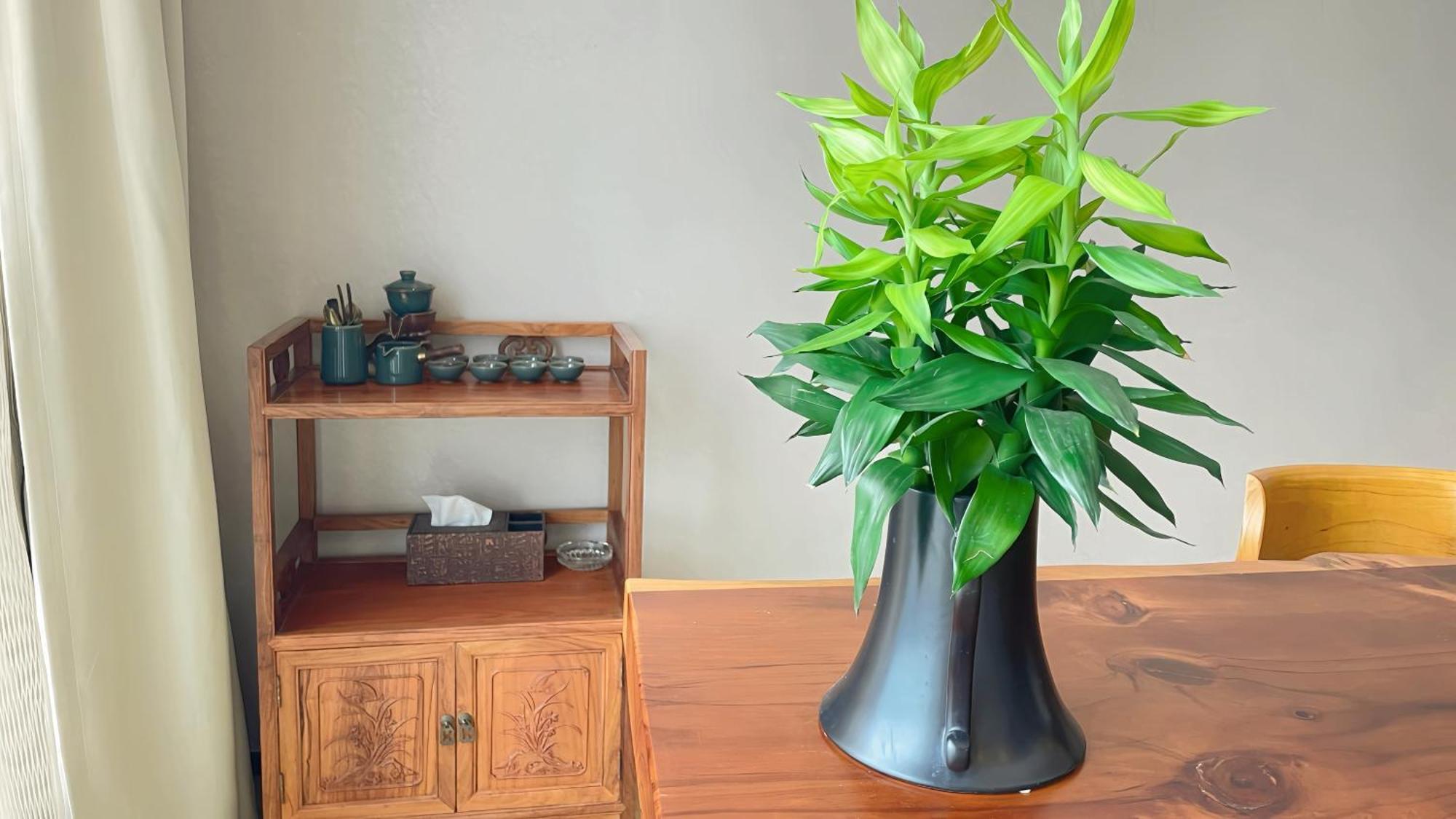 Guangzhou Xing Yi International Apartment - Poly World Branch Экстерьер фото